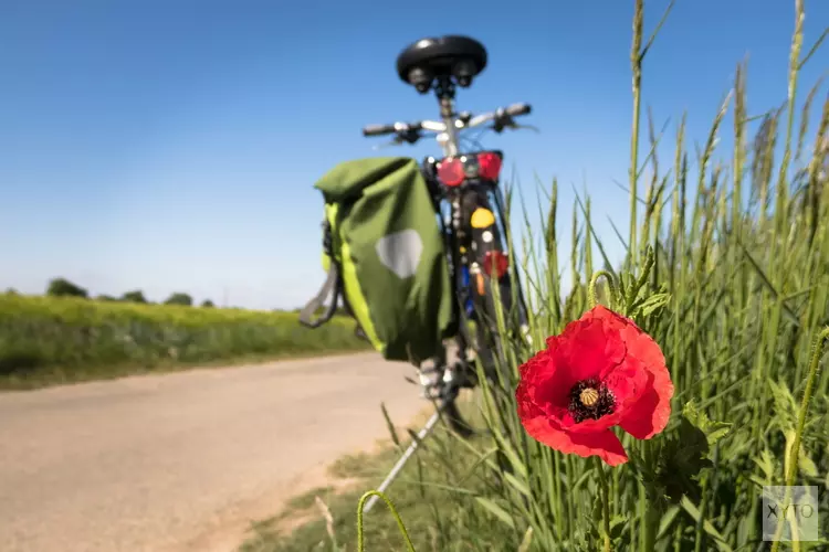 Gelders netwerk van hoogwaardige fietsroutes breidt uit