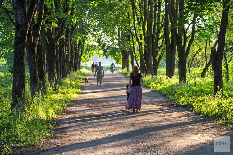 Ruim 75 duizend vrouwen werden voor het eerst moeder in 2023